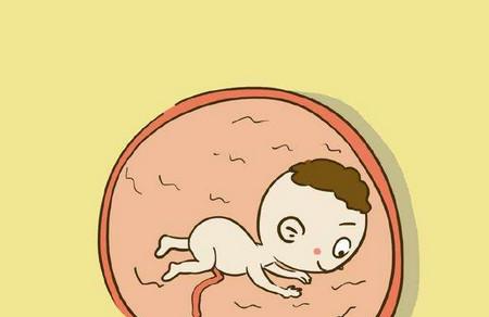 怀孕后对胎儿影响大的事情有哪些