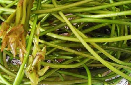 宝宝感冒咳嗽、积食可以喝这个汤！