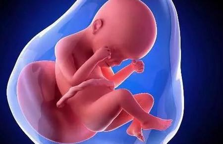 为什么孕期同房会让宝宝更加聪明呢？