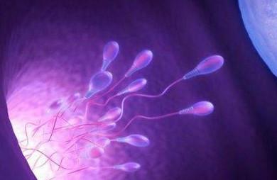 自然怀孕需要哪些条件