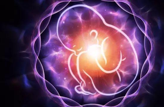 为什么不是所有的胚胎都着床