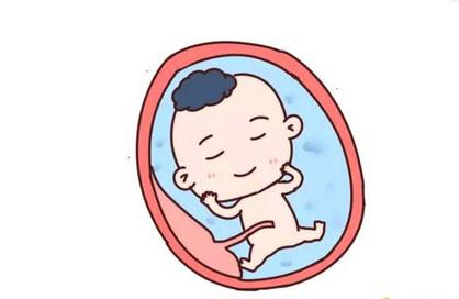 关于羊水的秘密有哪些