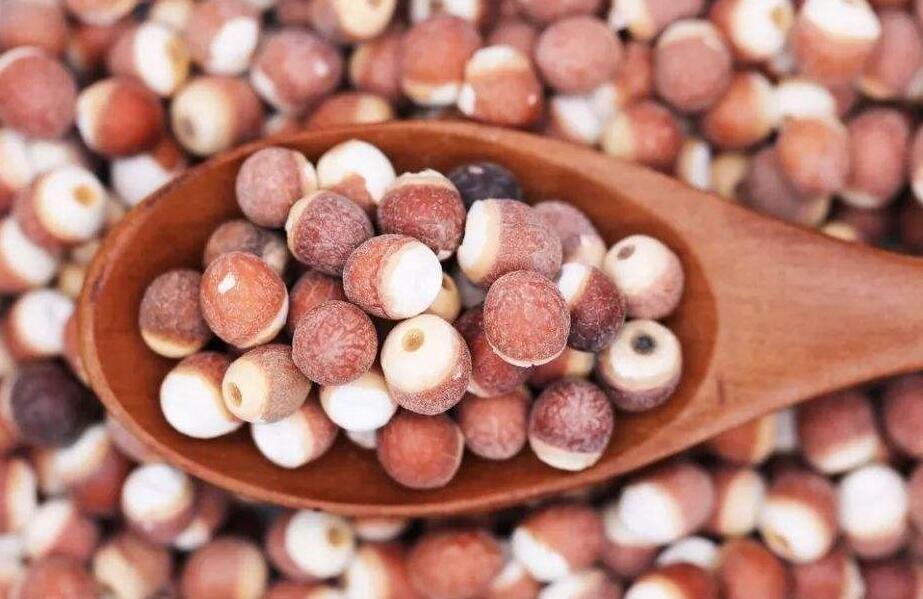 肥儿糖浆的成分