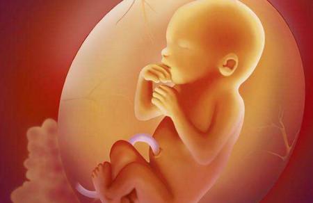 胎儿宫内生长受限是怎么回事