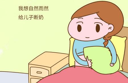 断奶前需要考虑的问题有哪些