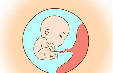 胎儿最需要补充营养的时期有哪些