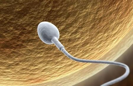 男性受精是否成功怎么回事