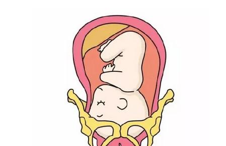 临产前一个月胎儿会经历的事情有哪些
