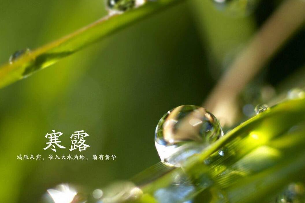 2019年寒露出生的猪宝宝好不好