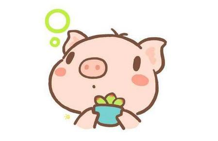 2019生猪宝宝备孕神器