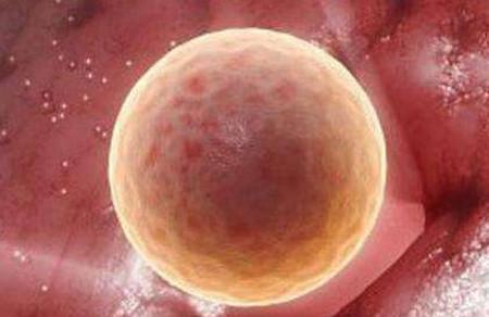 排卵试纸提示有排卵为什么不怀孕？