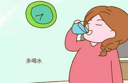 怀孕后需要多喝水的时间段有哪些