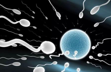 男性精子成活率低该如何备孕？