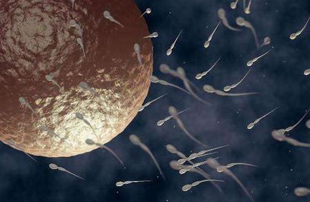 女性不排卵有什么影响吗