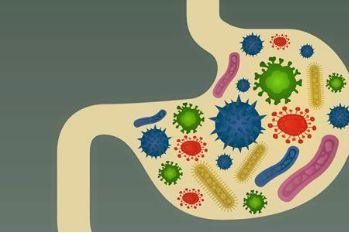 宝宝肠道功能紊乱怎么调理