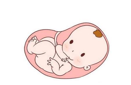 怀孕后胎儿过大或者过小怎么办