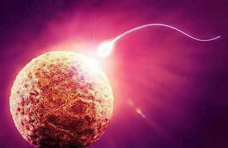 如何快速抱个猪宝宝