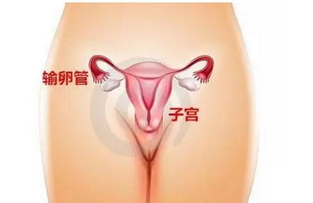 输卵管堵塞怎么办？怎么才能怀孕呢？