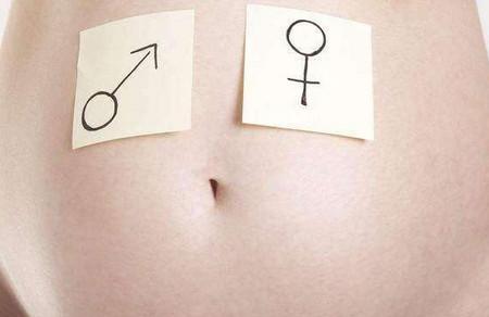 判断胎儿性别的说法有哪些