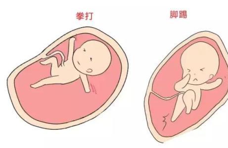 胎动是宝宝舒服还是不舒服