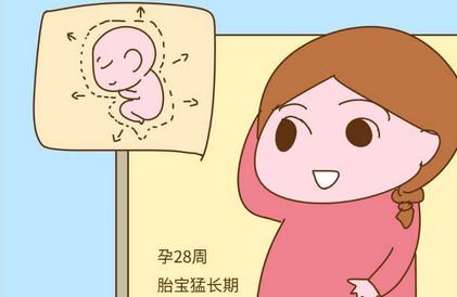 怀孕后胎儿进入猛长期的症状有哪些