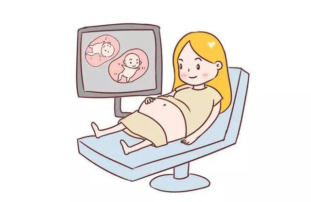人工受孕、试管婴儿怀双胞胎的几率