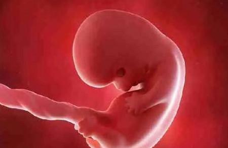 胎儿长得最快是什么月份？