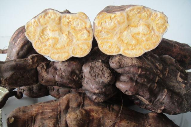 何首乌怎么吃最好 产后何首乌食谱推荐