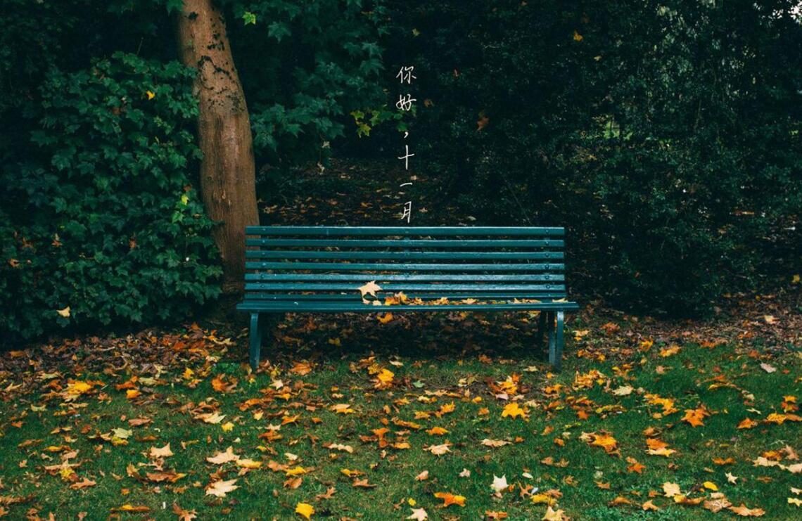 2020年11月出生的鼠宝宝好吗