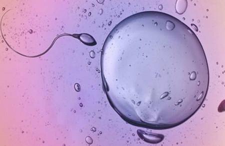 备孕遇上卵泡发育不好该怎么办？