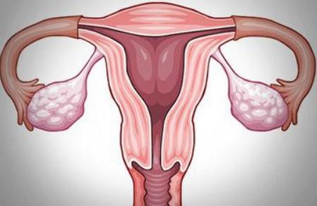 输卵管妊娠的原因有哪些