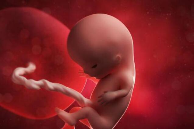 新生儿脐带血筛查什么