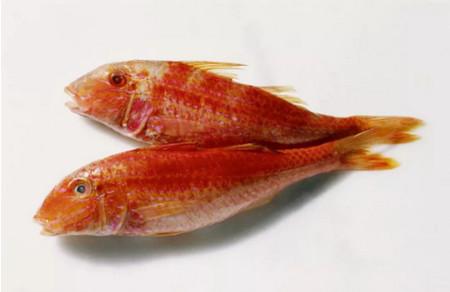 鱼有哪些部位适合食用？