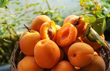 2019年清明节放假安排