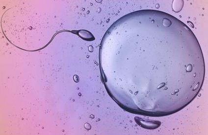 排卵期的信号有哪些