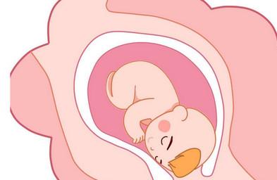 胎儿大小怎么评估