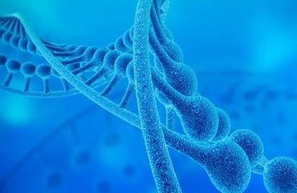 宝宝犯困注意力不集中的原因