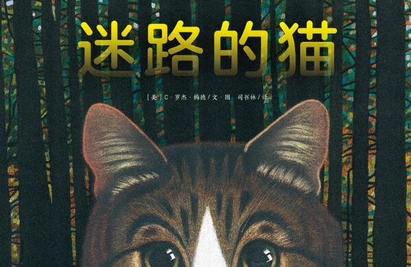 迷路的猫绘本