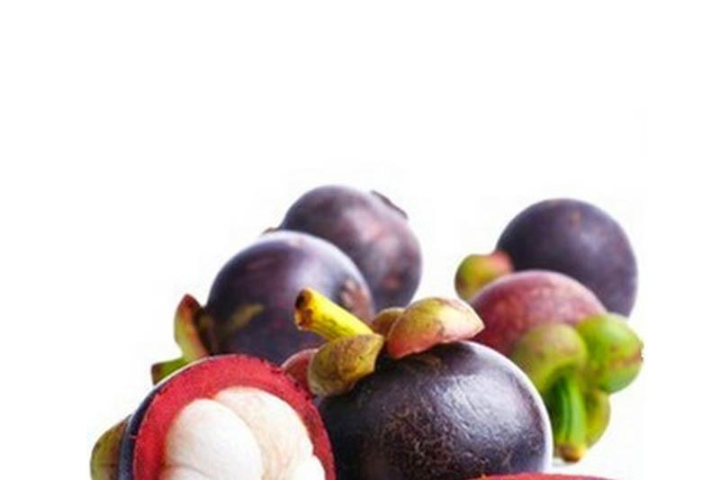 宝宝发烧可以吃山竹吗