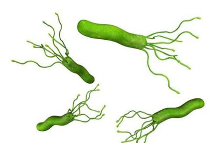 幽门螺旋杆菌会导致胃疼吗 幽门有哪些危害呢？