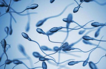 胎停、自然流产、胚胎生化跟精子有没有关系
