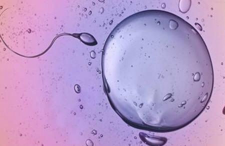 备孕期做哪些事可以养卵泡？