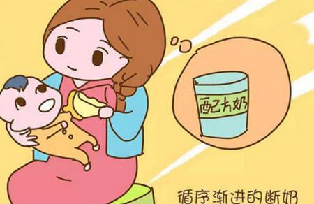 宝宝过早断奶的危害有哪些