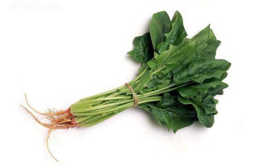宝宝发烧可以吃菠菜吗