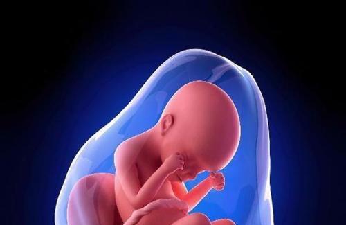 怀孕7个月怎么让胎儿发育的更好