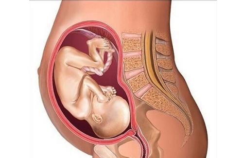 胎儿发育不好的表现有哪些