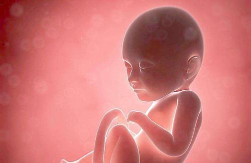 孕妇哪些身体特征代表胎儿发育不良