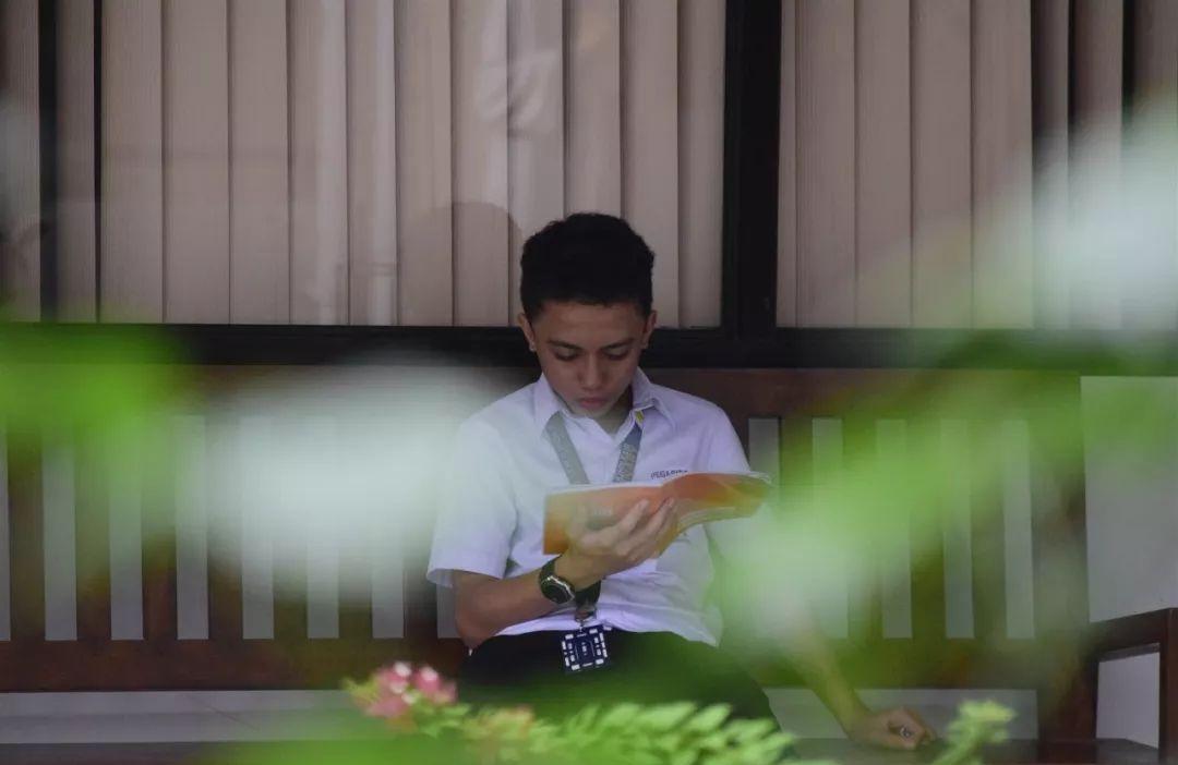 孩子为什么要读书