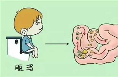 幽门螺旋杆菌会拉肚子吗 幽门会导致肠胃疾病吗？