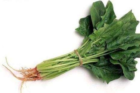 宝宝拉肚子可以吃菠菜吗